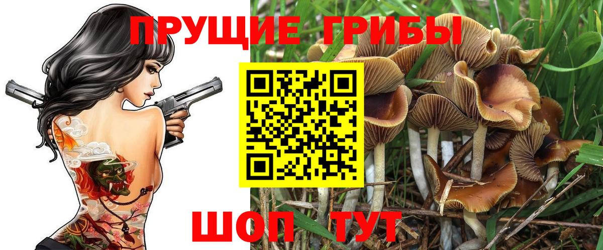 Вольск  Галлюциногенные грибы мухоморы  Псилоцибиновые грибы прущие грибы  Вход с VPN 