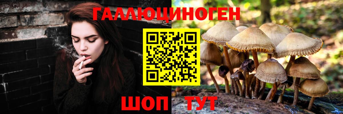 Галлюциногенные грибы мухоморы Вольск