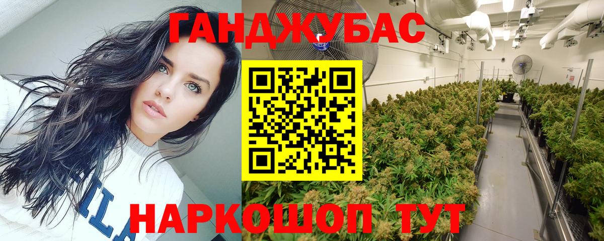 Шишки марихуана ГИДРОПОН  Бошки марихуана VHQ  Вход с VPN  Марихуана тримм  Вольск 